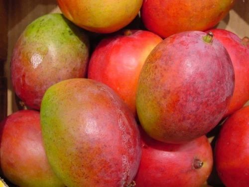 Fresh Fruit - Mango